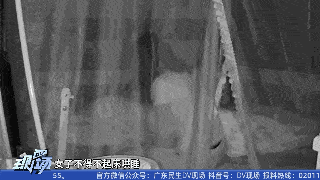 “脱裤子坐嘴上他会吮吸！”保姆猥亵X侵小婴细节曝光令人发指(图4)
