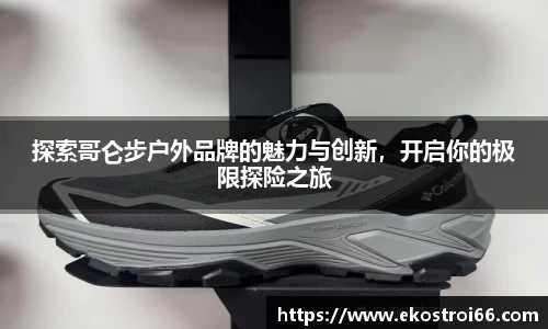 杏彩娱乐全站