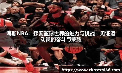海斯NBA：探索篮球世界的魅力与挑战，见证运动员的奋斗与荣耀