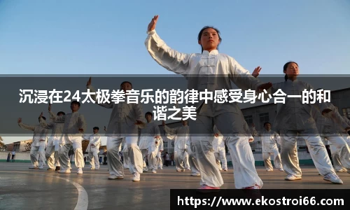 沉浸在24太极拳音乐的韵律中感受身心合一的和谐之美