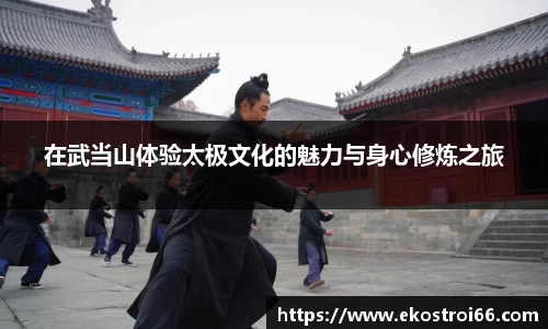 在武当山体验太极文化的魅力与身心修炼之旅
